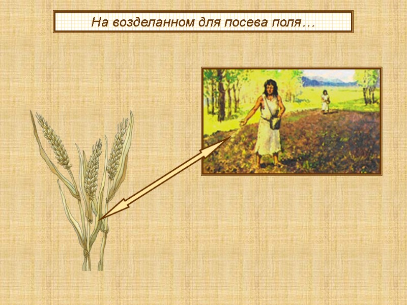 На возделанном для посева поля…